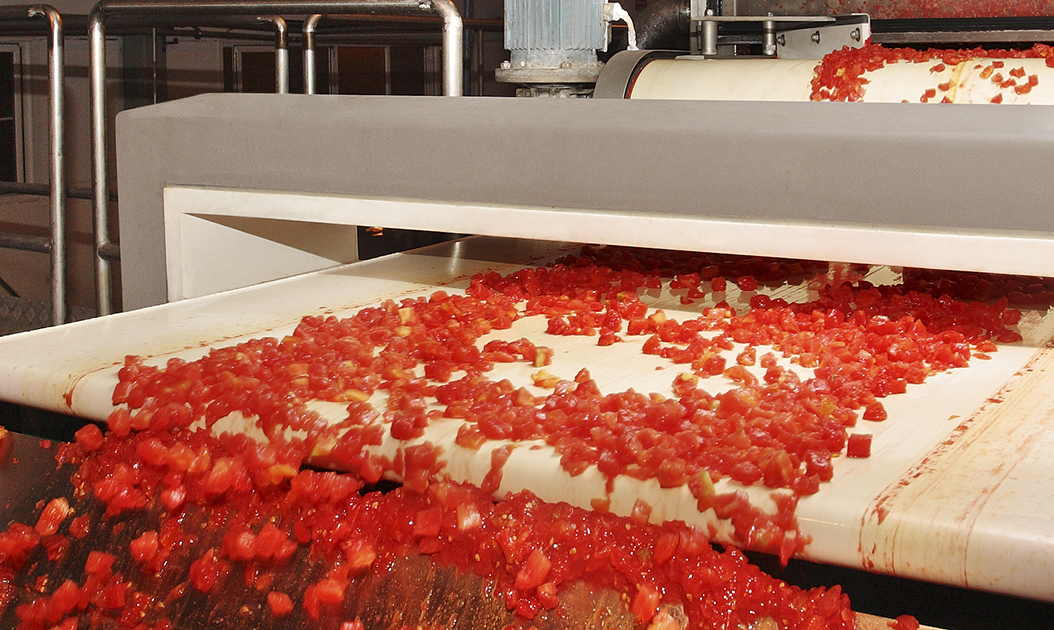 Production line in Tomato Paste Factory